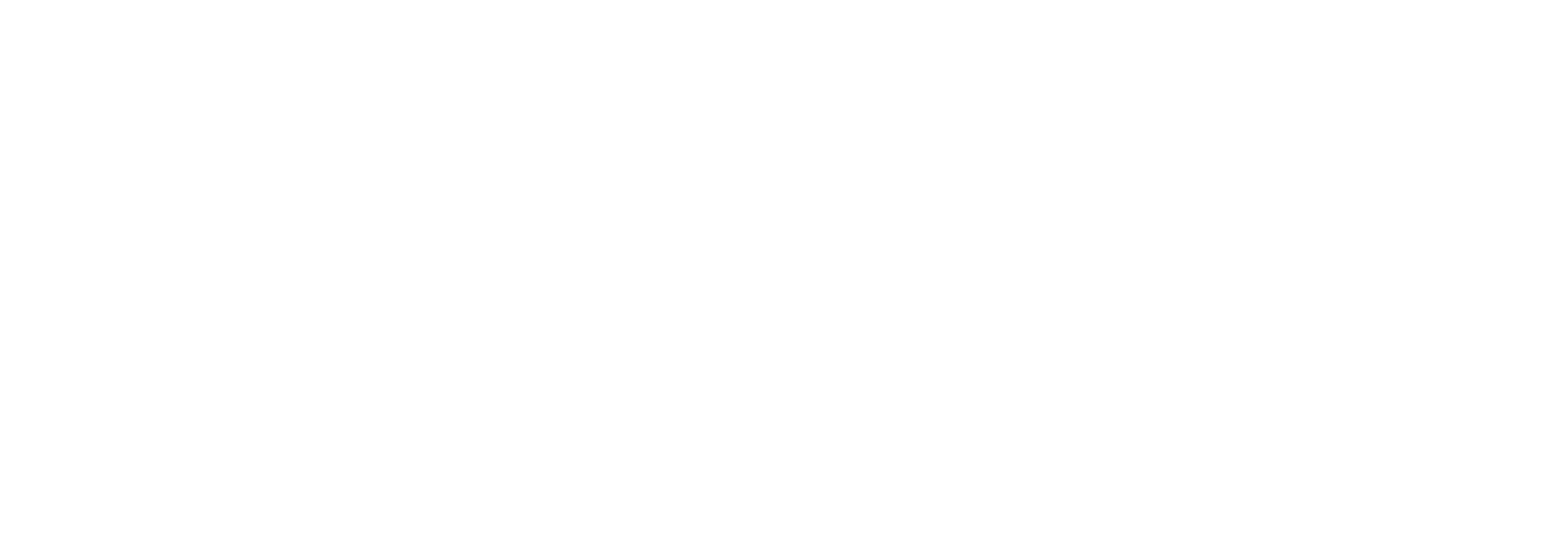 Logo blanco 2